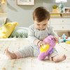 FISHER PRICE ΙΠΠΟΚΑΜΠΟΣ ΦΩΤΕΙΝΟ ΑΛΟΓΑΚΙ ΤΗΣ ΘΑΛΑΣΣΑΣ ΡΟΖ (DGH73)