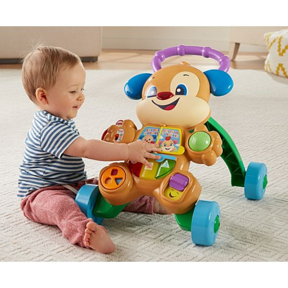 FISHER PRICE LAUGH & LEARN ΕΚΠΑΙΔΕΥΤΙΚΗ ΣΤΡΑΤΑ ΣΚΥΛΑΚΙ SMART STAGES (FTC66)