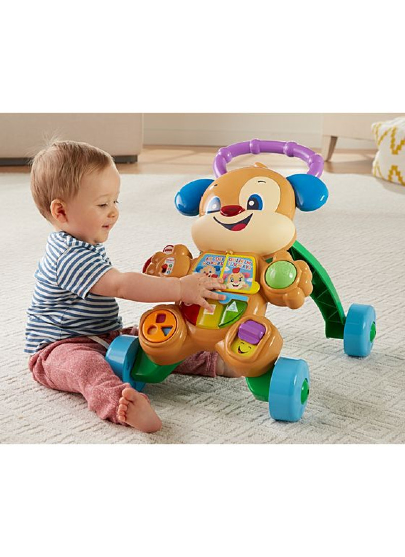 FISHER PRICE LAUGH & LEARN ΕΚΠΑΙΔΕΥΤΙΚΗ ΣΤΡΑΤΑ ΣΚΥΛΑΚΙ SMART STAGES (FTC66)