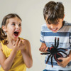LEXIBOOK ΤΗΛΕΚΑΤΕΥΘΥΝΟΜΕΝΗ ΤΑΡΑΝΤΟΥΛΑ (SPIDER01)