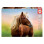 EDUCA ΠΑΖΛ 500TMX HORSE ΑΤ SUNRISE (19000)
