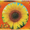 EDUCA ΠΑΖΛ 800TMX SUNFLOWER (19034)