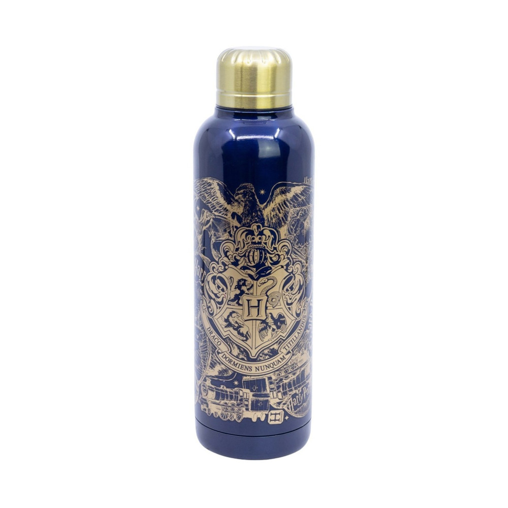 Stor: Harry Potter - Magic &amp; Mayhem Insulated Stainless Steel Bottle (515ml) (31009)
