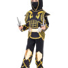 Αποκριάτικη Στολή Golden Ninja
