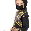 Αποκριάτικη Στολή Golden Ninja